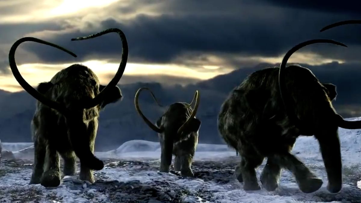 Video: Takhle prý start-up oživí mamuty a tasmánské tygry